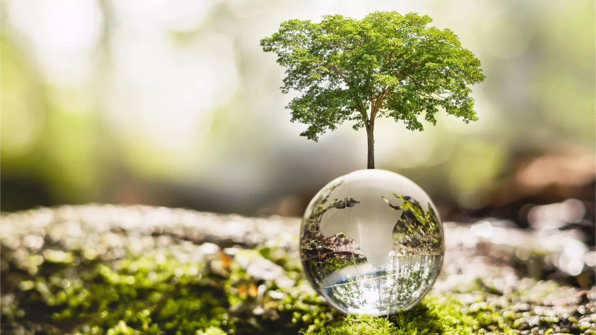 Ecoving